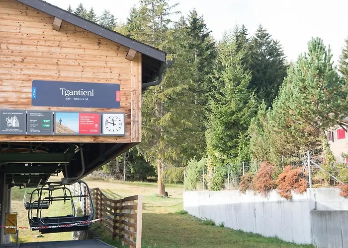 度假居 Holiday Home Tgantieni Ski-In Ski-Out-Lenzerheide 伦策海德