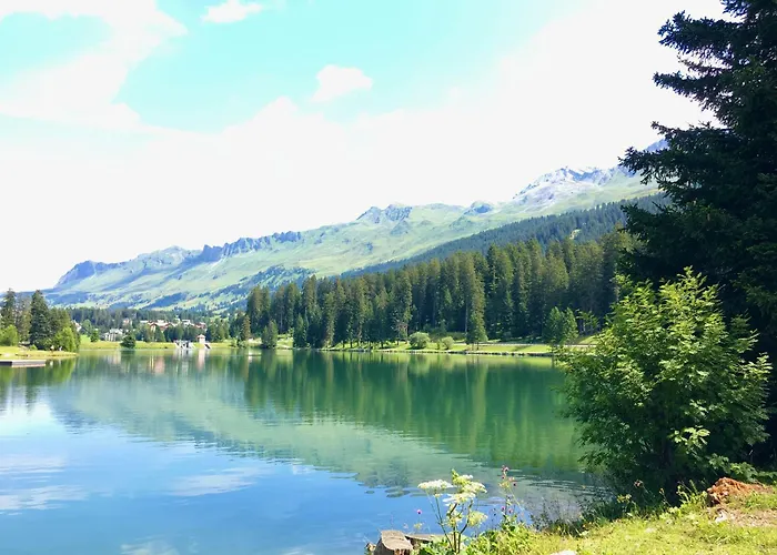 Holiday Home Tgantieni Ski-In Ski-Out-Lenzerheide 度假居 *